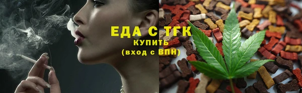 гидра Абаза