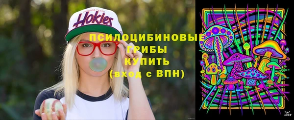 дурь Алексеевка