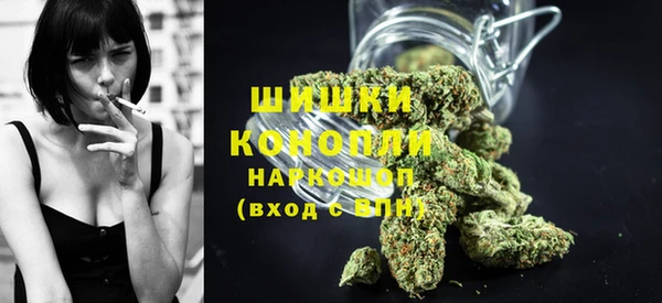дурь Рославль