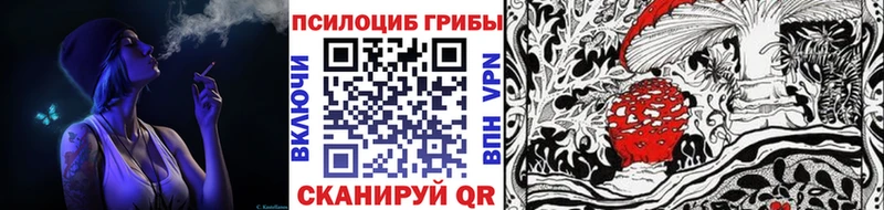 даркнет сайт  Красновишерск  Галлюциногенные грибы мицелий 