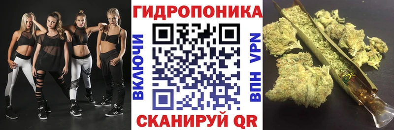 Каннабис планчик hydra вход Красновишерск